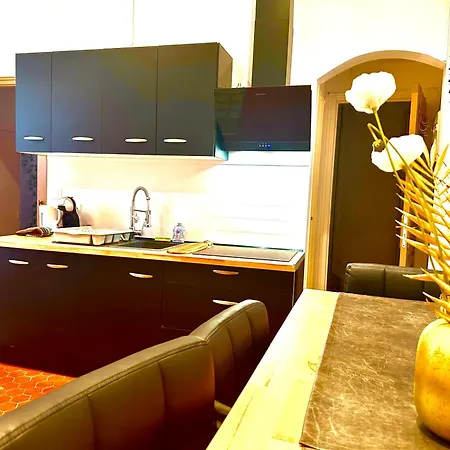 En Plein Coeur De Apartamento Perpinhã